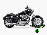    Harley-Davidson 1200 Sportster Custom (  1200 )