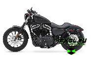    Harley-Davidson Sportster 883 (-  883)