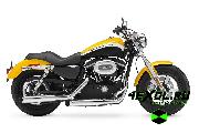    Harley-Davidson XL 1200 C Sportster Custom (- 1200  )
