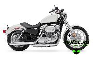    Harley-Davidson XL 883 L Sportster 883 Low (- 883  )