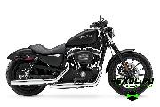    Harley-Davidson XL 883 Sportster 883 (   883 )