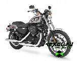    Harley-Davidson (-) XL 883R Sportster